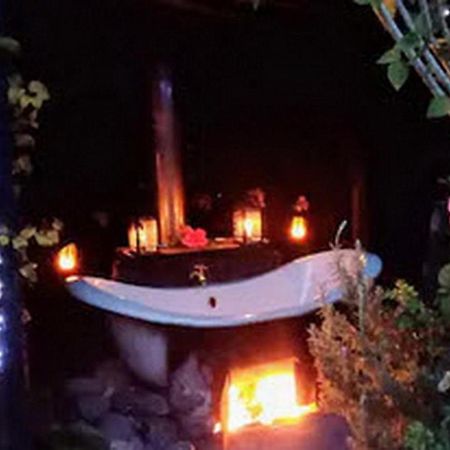Warm Earth Cottages Aongatete Esterno foto