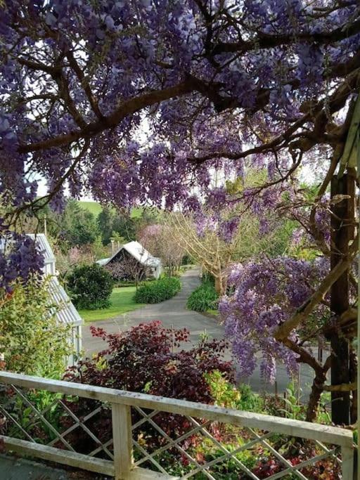 Warm Earth Cottages Aongatete Esterno foto