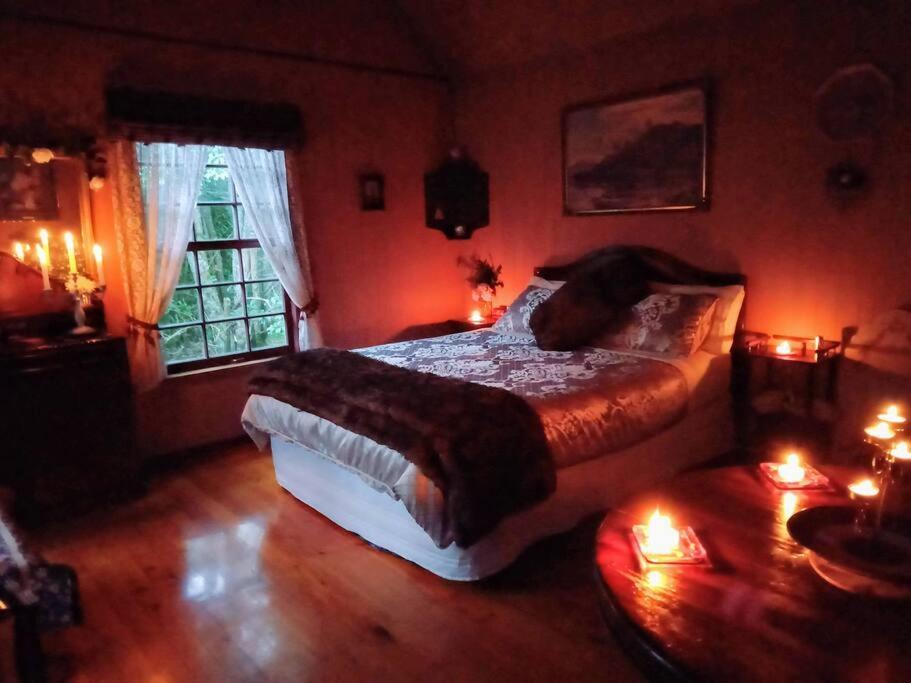 Warm Earth Cottages Aongatete Esterno foto