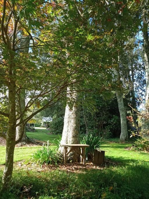 Warm Earth Cottages Aongatete Esterno foto