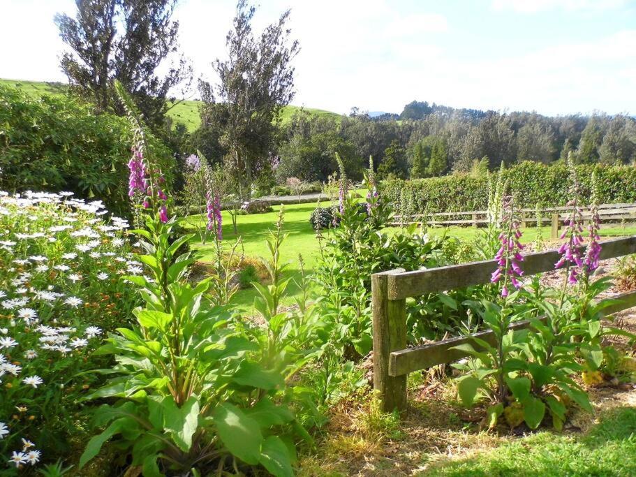 Warm Earth Cottages Aongatete Esterno foto